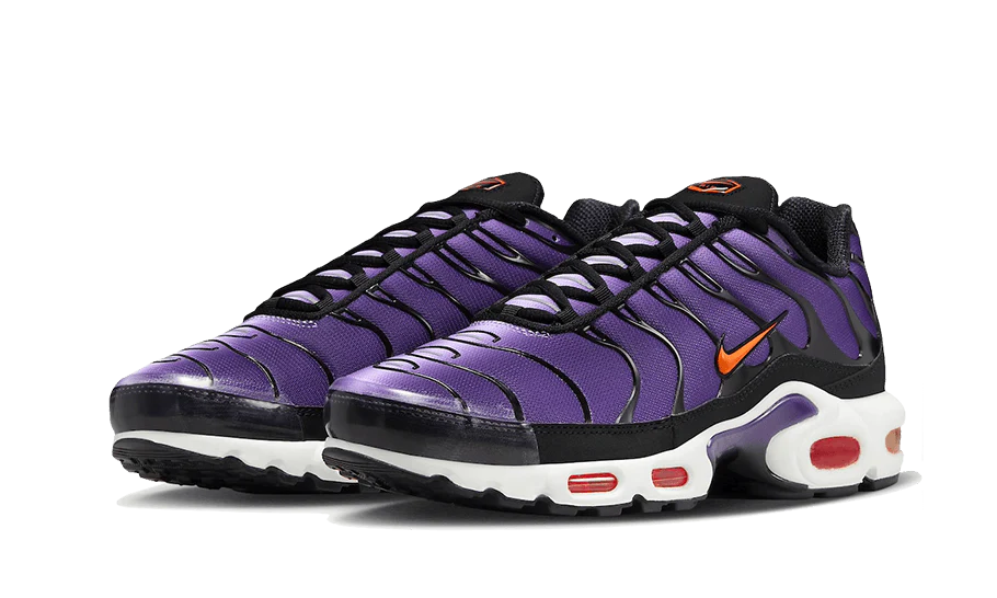 Nike Air Max Plus OG Voltage Purple DX0755-500