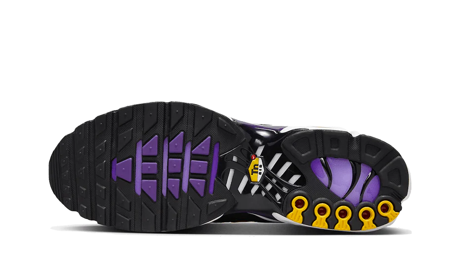 Nike Air Max Plus OG Voltage Purple DX0755-500