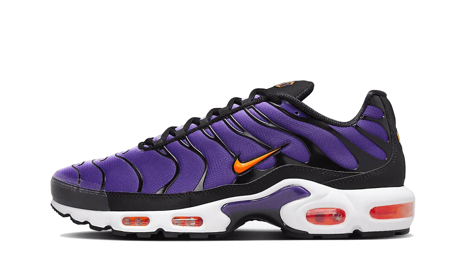 Nike Air Max Plus OG Voltage Purple DX0755-500