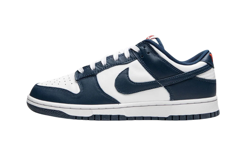 Nike Dunk Low Valerian Blue