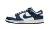 Nike Dunk Low Valerian Blue