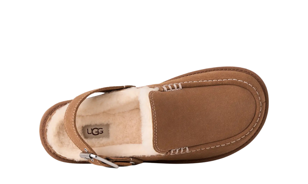UGG Goldenstar Clog Evelina Clog Chestnut