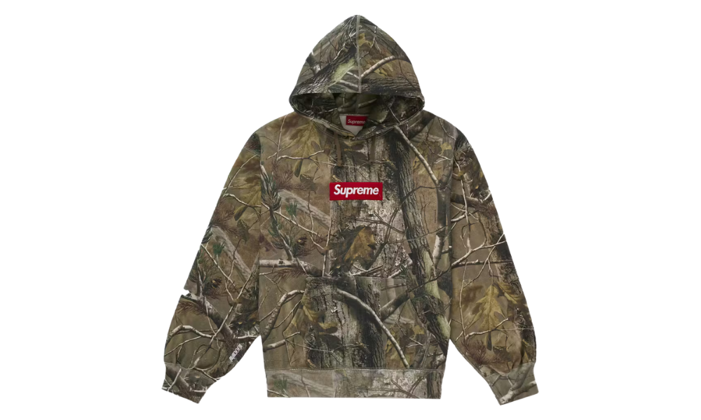 Supreme Box Logo Hooded Sweatshirt Realtree AP Camo