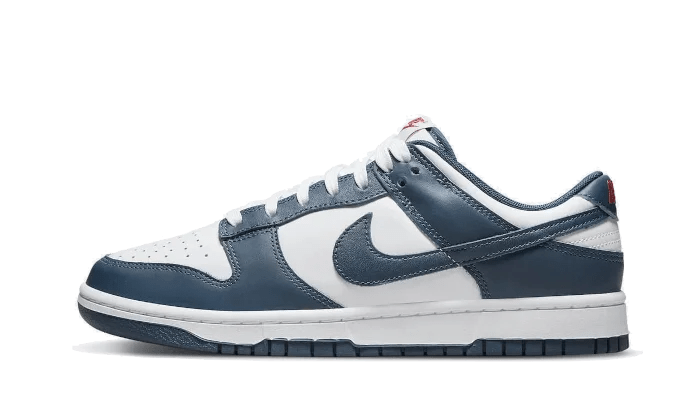 Nike Dunk Low Valerian Blue - Secured Stuff