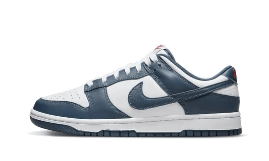 Nike Dunk Low Valerian Blue - Secured Stuff